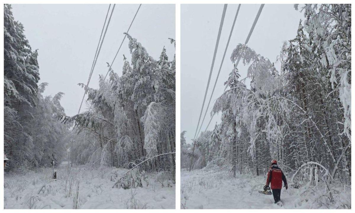 Снегопад электросети