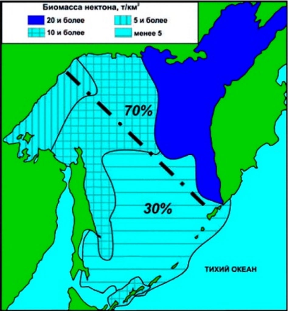 Биостатистические районы в Охотском море (по 9)