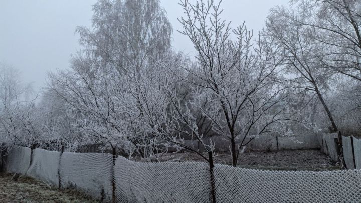 Климатическая зима вступит в права в Татарстане лишь во второй половине декабря