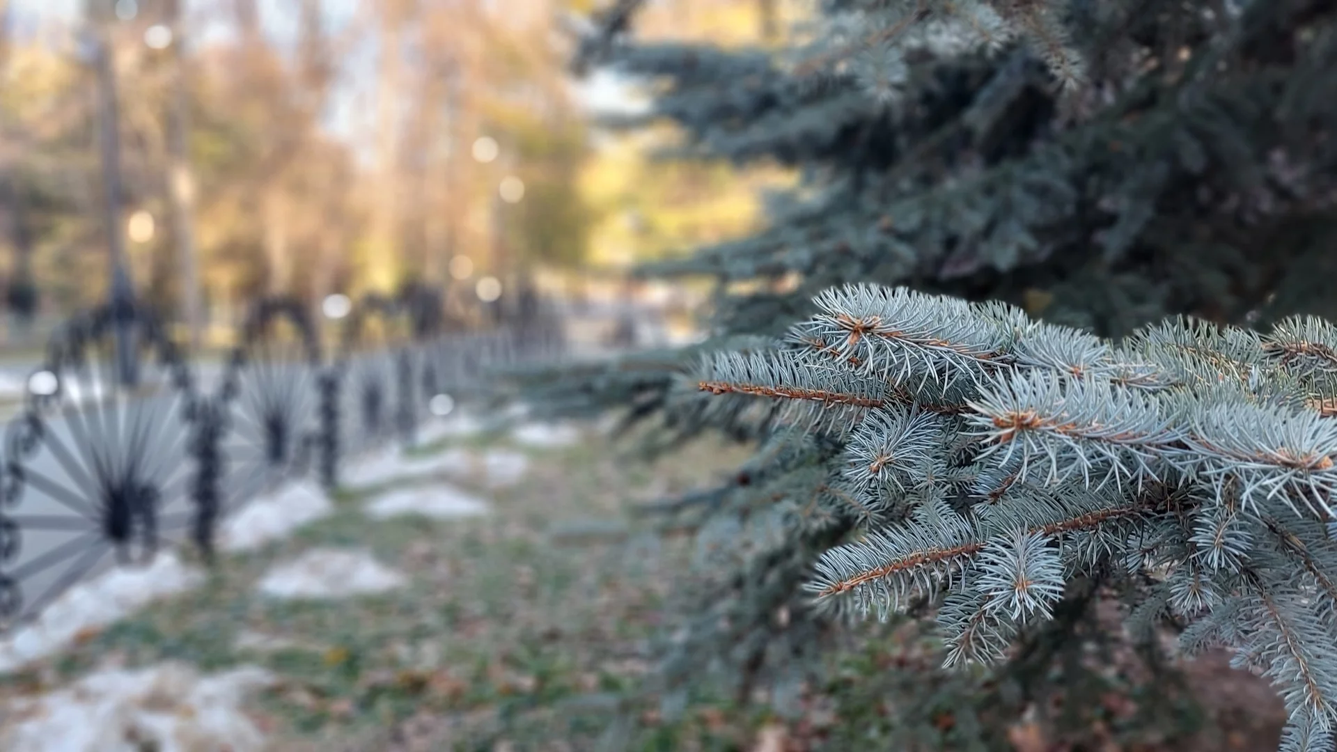 Прогноз погоды в ломоносове на неделю