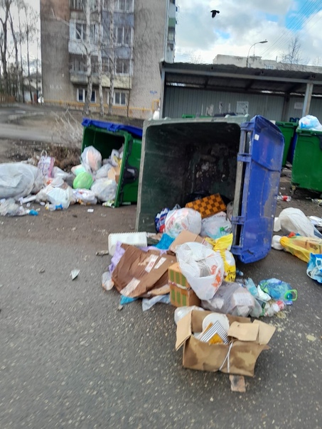 Власти Ростова сообщили в следственный комитет о мусорных вандалах