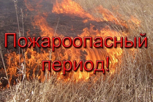 Фото: пресс-служба правительства Вологодской области