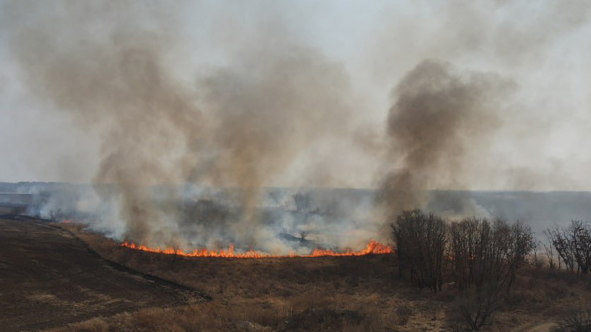 Амурские авиапожарные отправились в ЕАО для борьбы с природными возгораниями - gtrkamur.ru