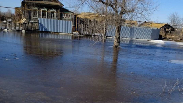 «Такого не было 12 лет»: стало известно, где паводок достиг пика в Самарской области