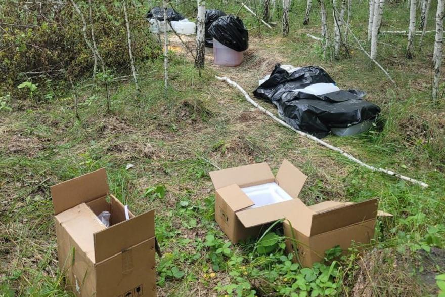 В Курганской области наркосбытчик получил 8 лет за килограмм мефедрона