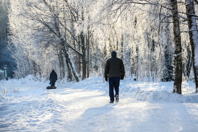Трескучий мороз и холодрыга до -18? Погода в Москве в феврале: чего ждать