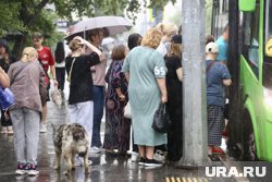 За срывы рейсов перевозчик получил статус недобросовестного (архивное фото)