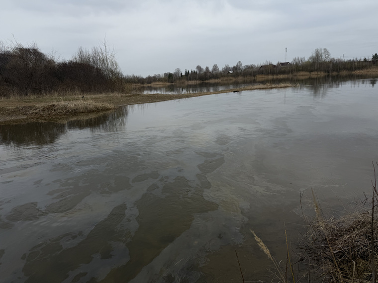 Нефть губит природу в Шуралке