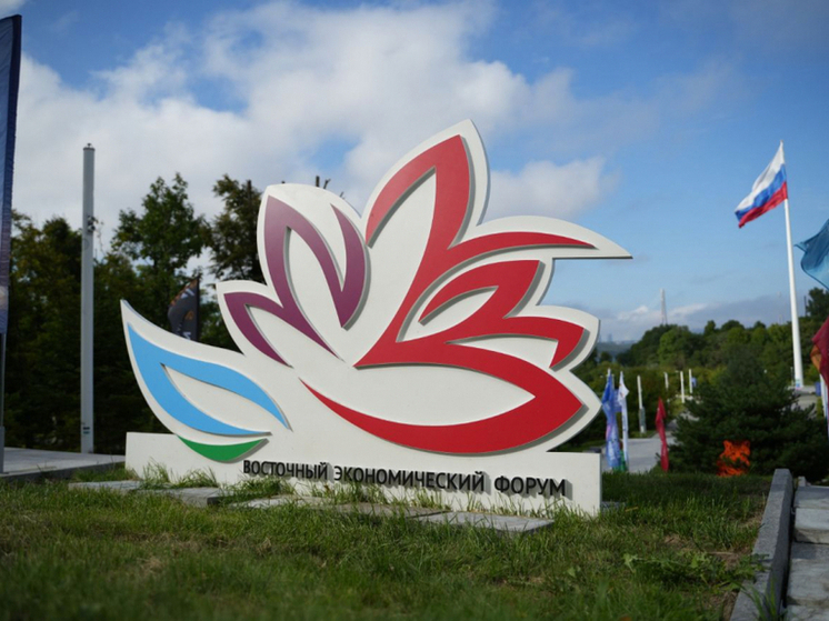 Восточный экономический форум-2025: итоги для Хабаровского края