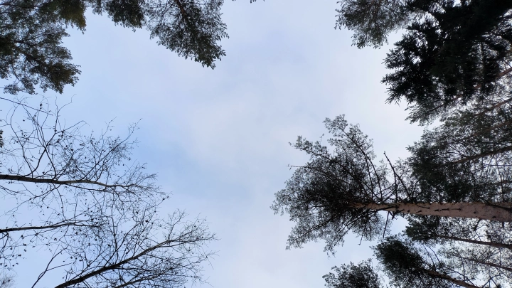 Комсомольский парк переименовали в Кемерове