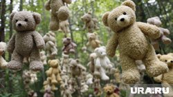 Жители Тюмени не оценили инсталляцию из подвешенных плюшевых игрушек