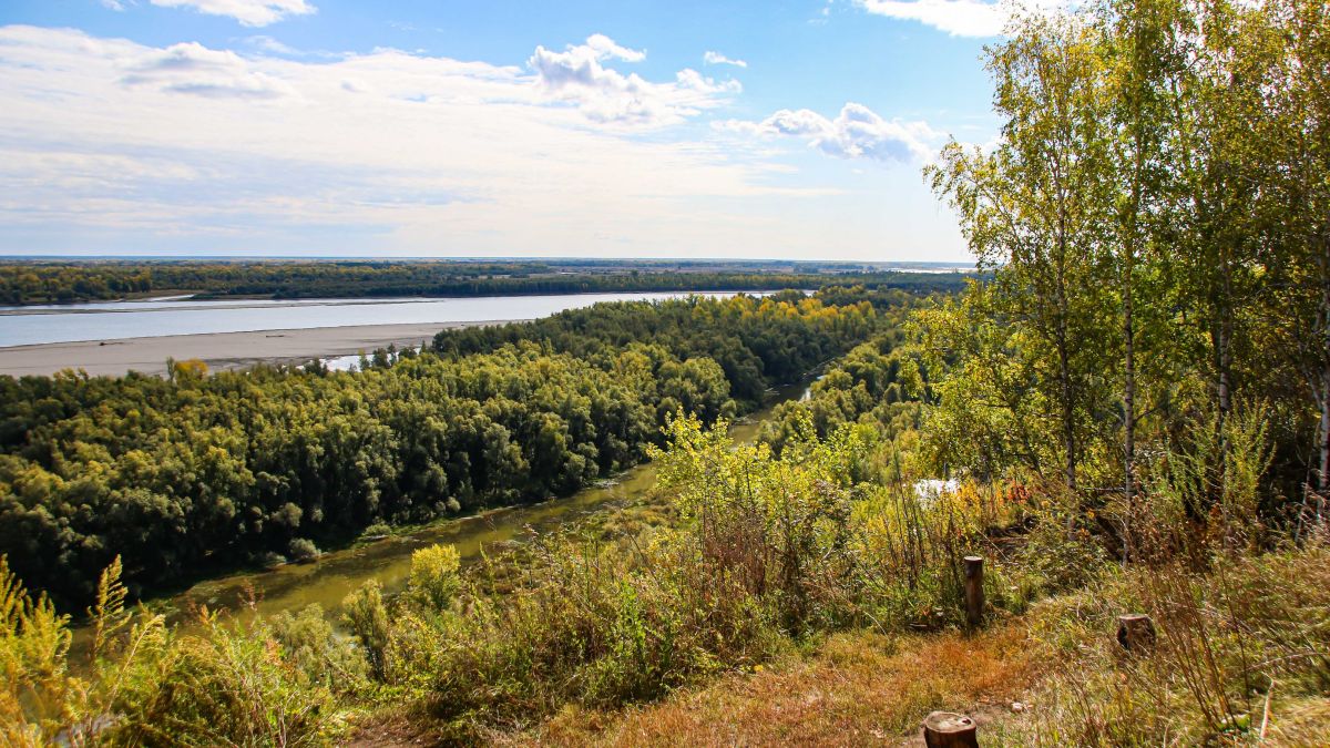 Алтайский край бийский погода. Край. Барнаульский Дендрарий. Дендрарий Барнаул фото 2022.