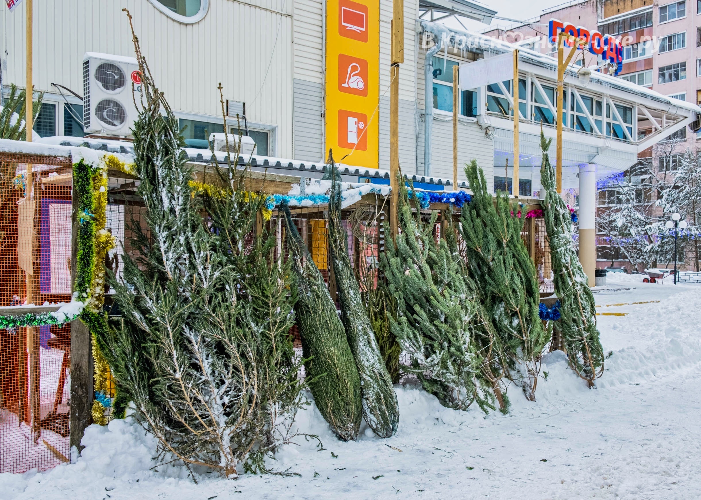 Елочный базар новосибирск