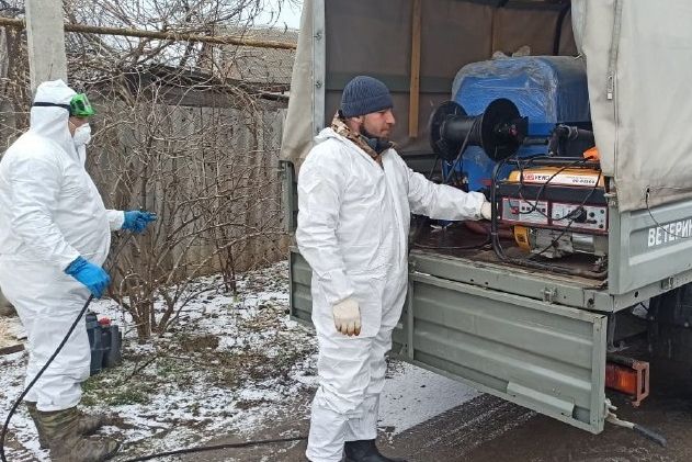 В муниципалитетах Дона проходят ветеринарные учения по локализации и ликвидации очагов болезней животных