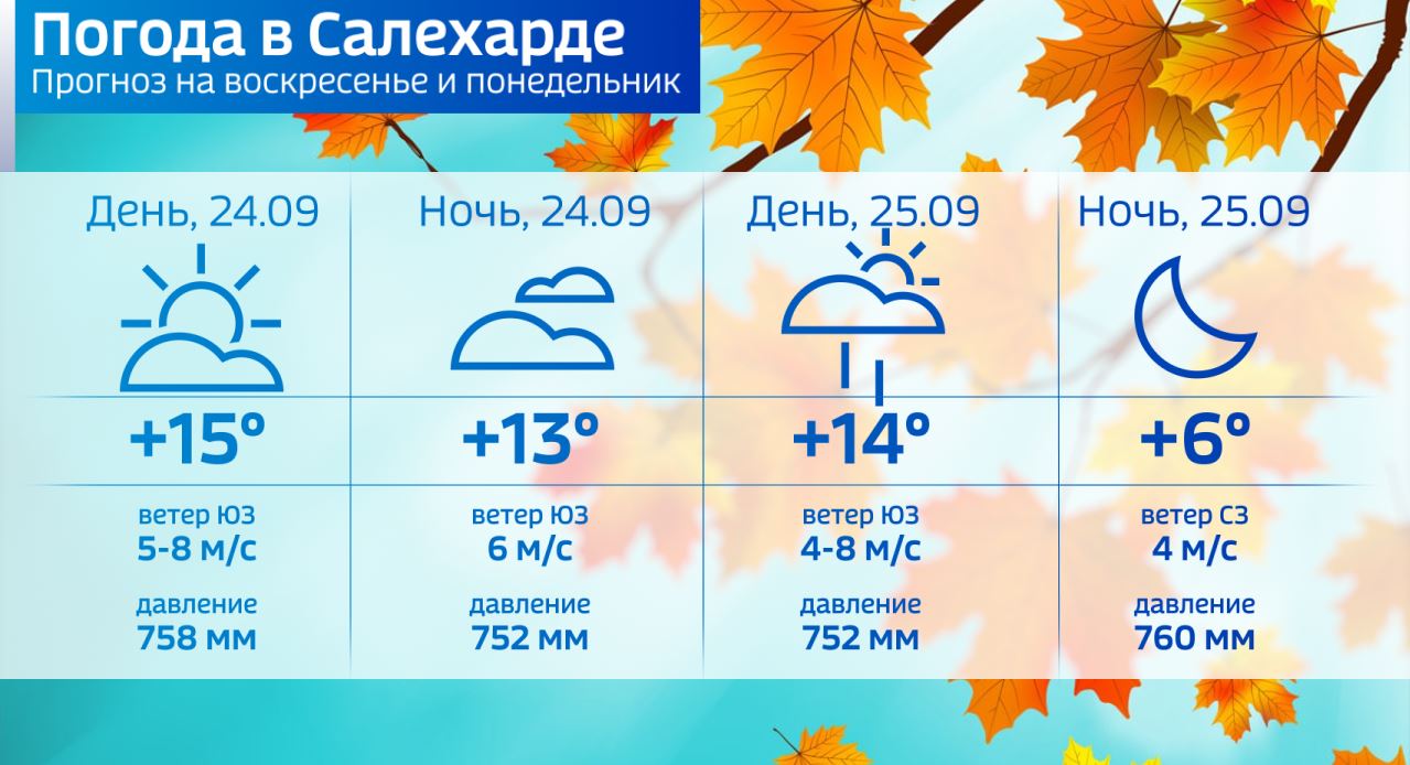 Погода в салехарде на 10 дней. Погода Салехард. Салехард климат. Салехарде погода в Салехарде. Погодные условия осенью.