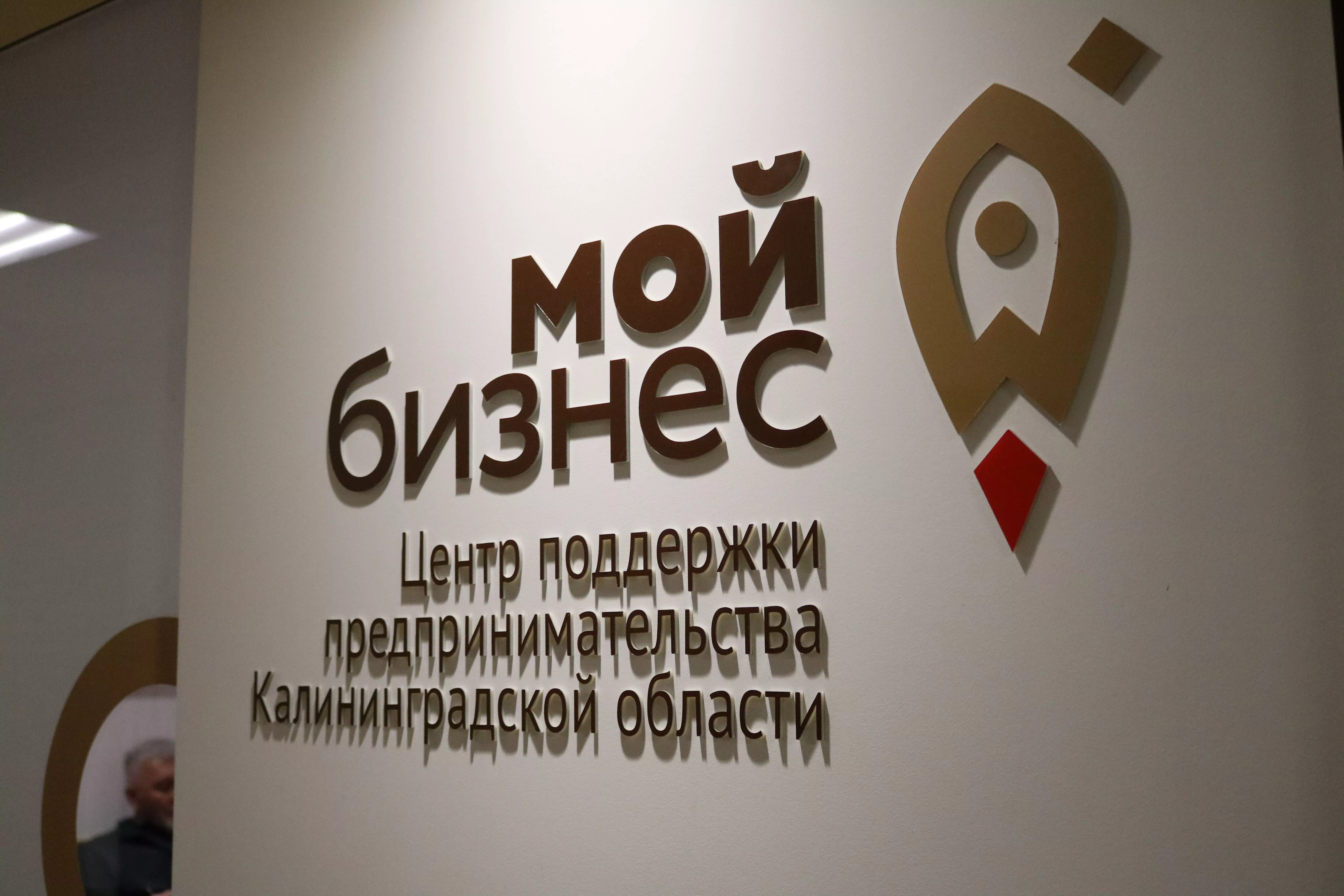 Старт приема заявок на разработку логотипа и фирменного стиля для бизнеса в Калининградской области