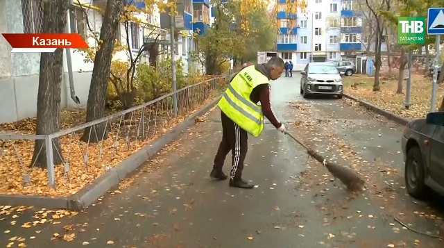Зима близко, а в Казани не хватает 800 дворников: в мэрии обсудили варианты решения проблемы