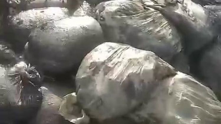 Под Анапой снова нашли бесхозные мешки с мазутом: ученые из Москвы спешат в зону бедствя 