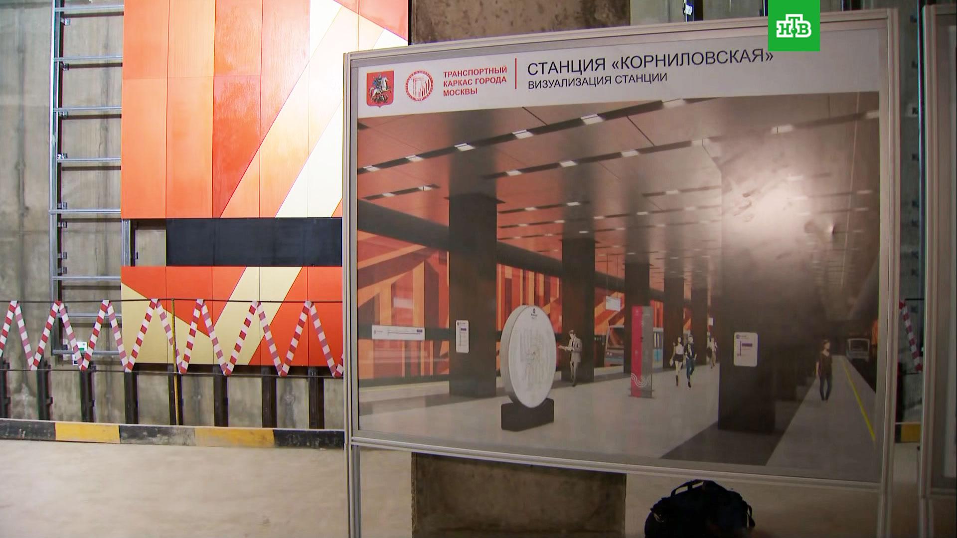 метро мамыри на карте. схема метро воронцовская. мамыри метро схема. станция мамыри на карте новой москвы метро. станция метро бачуринская на карте.