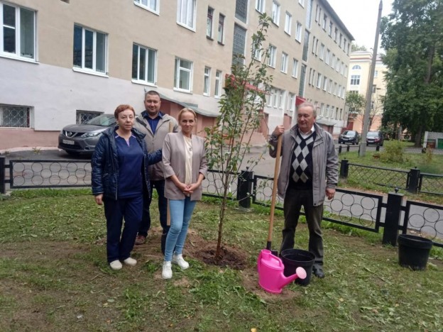 Саженцы северодвинск