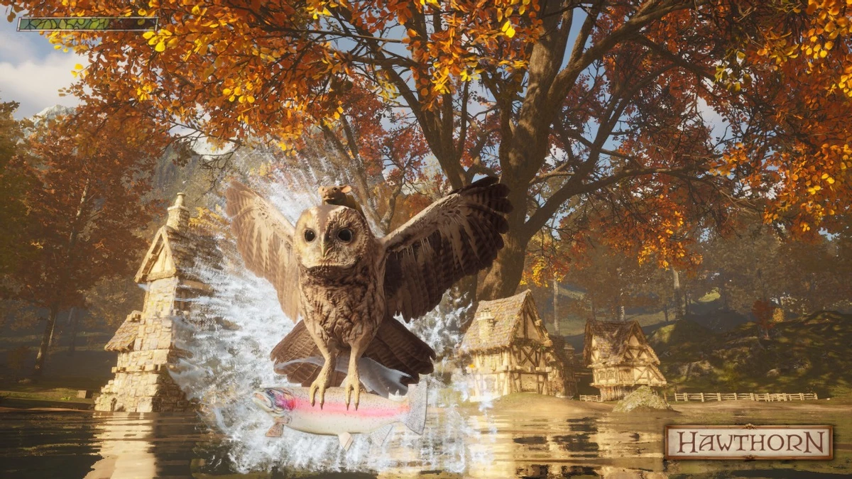 Разработчики Hawthorn извинились перед игроками из-за проблемы с раздачей ключей 