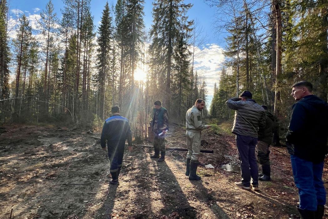 В Коми назвали экологически безответственными три организации