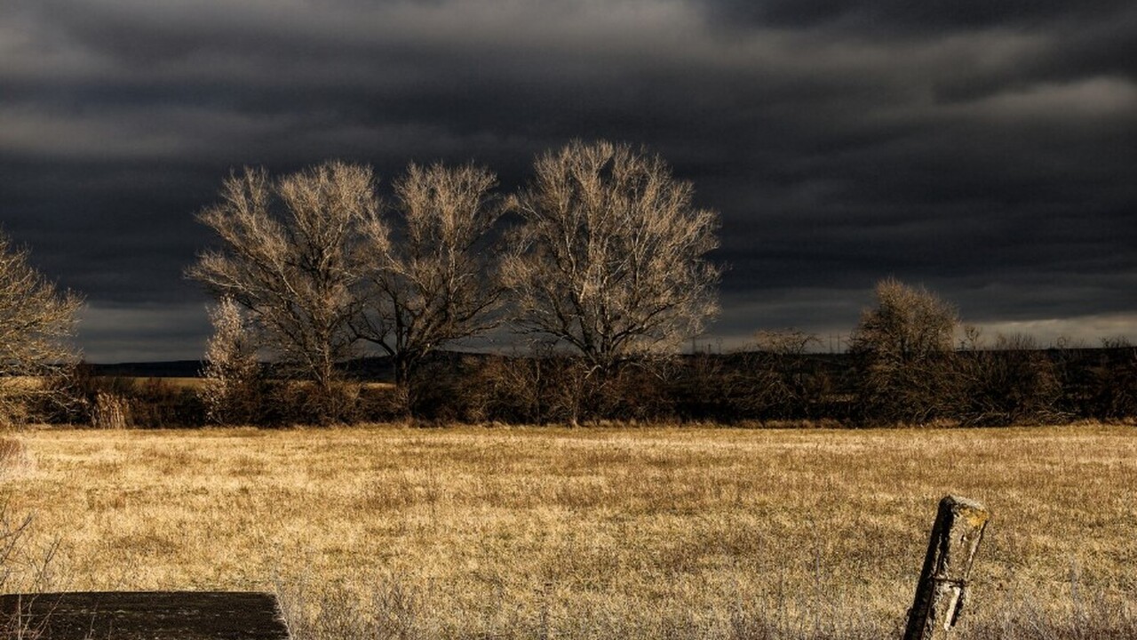 В Калужской области внедрена передовая система ...