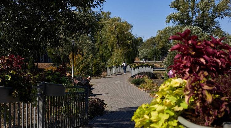 Как отдохнуть белгородцам 5–7 сентября