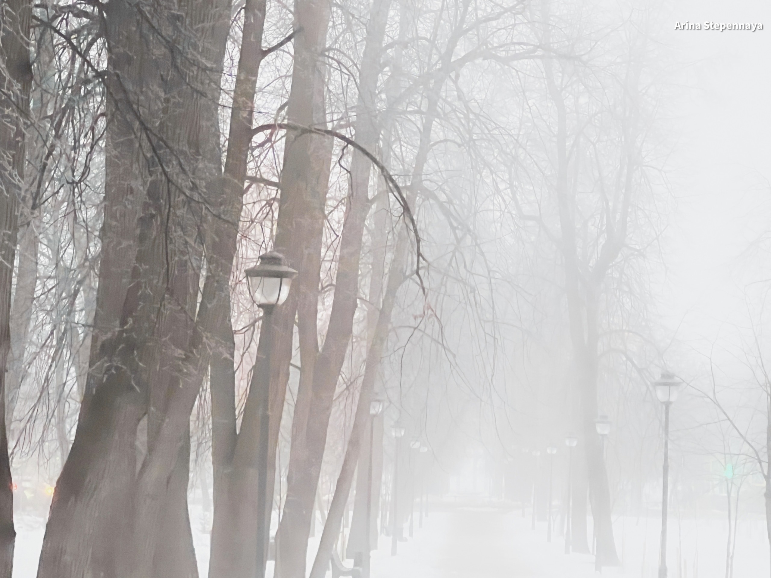 летать в облаках. что такое шлейф в парфюмерии. окутанная белым. зимний огуз азербайджан. горностаевая моль иркутск.