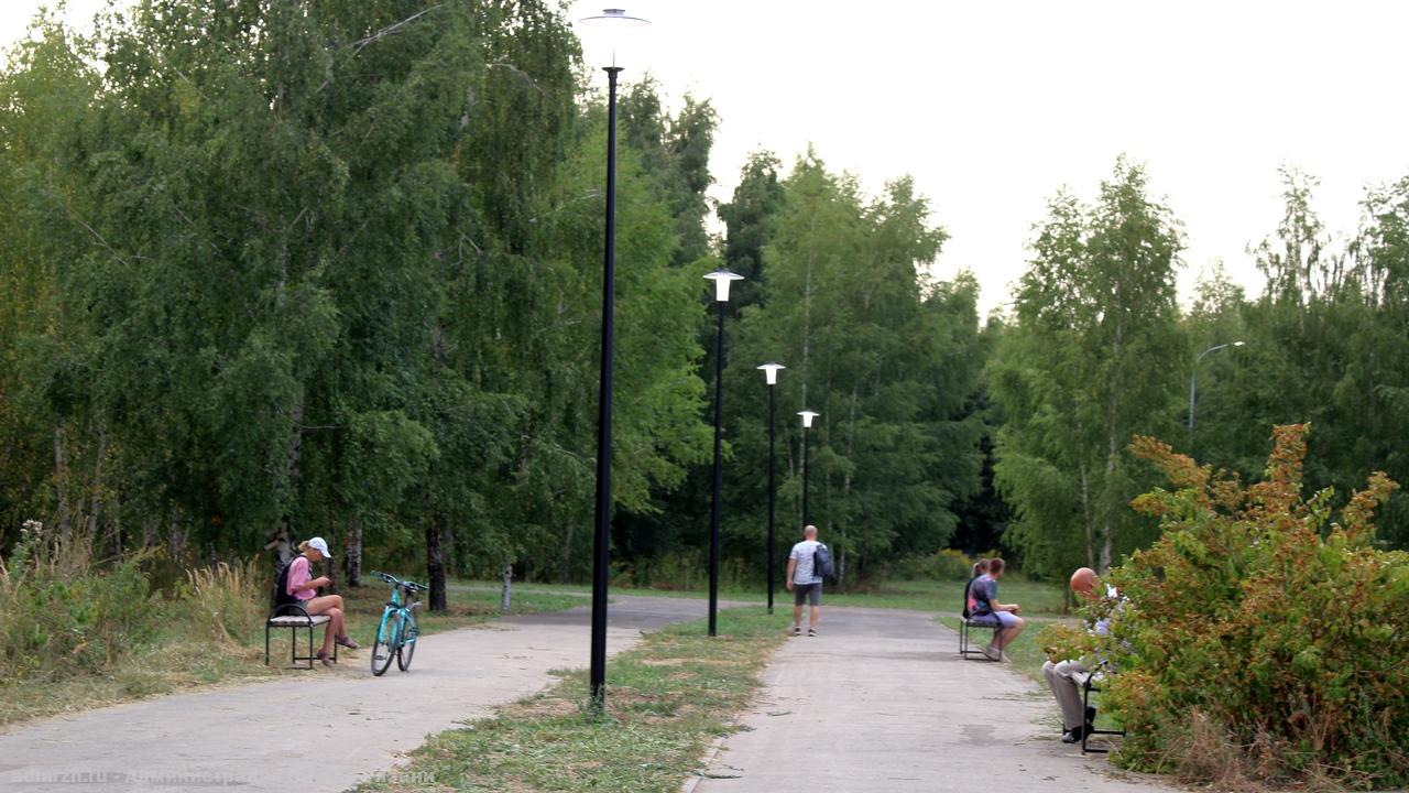 благоустройство вишневый сад рязань. картинка субботник в школе. новопавловская роща рязань фото. сквер александрова рязань. новопавловская роща рязань.