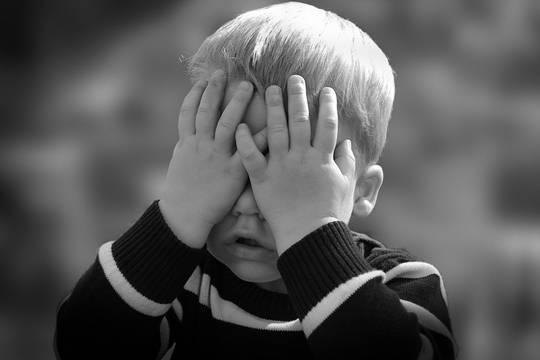 Эксперты оценили безопасность Лабубу для детей и пришли к выводу о необходимости запрета игрушки (фото: pxhere.com)