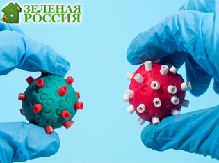 Учёные создали универсальную вакцину против птичьего гриппа — она защищает даже от штаммов, которых ещё не существует