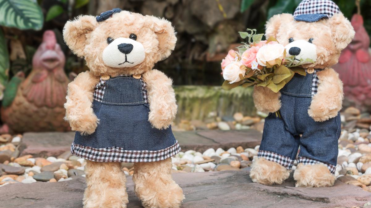 Два плюшевых медведя