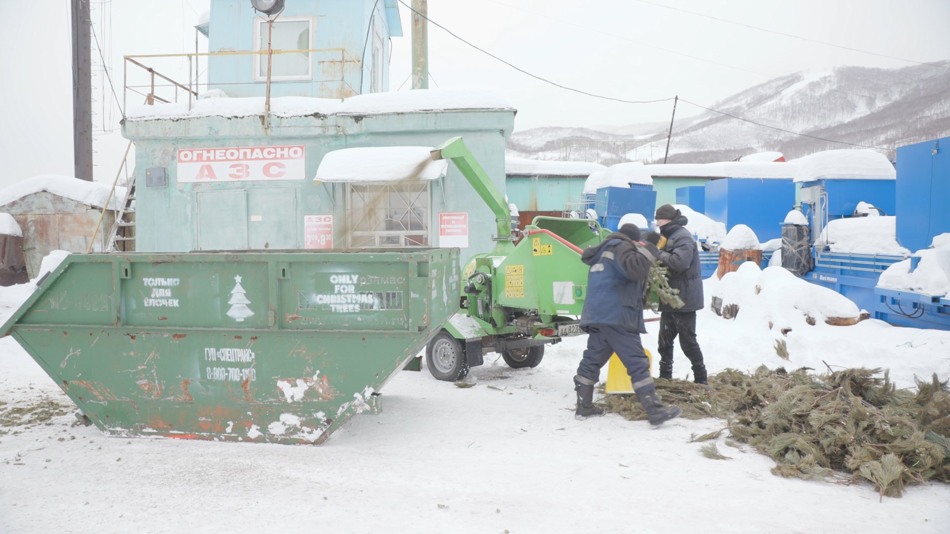 куда сдать елку после нового года 2024. новогодняя елка выкинули. елка дерево. куда сдать елку после нового года 2024. куда сдать елку после нового года 2024.