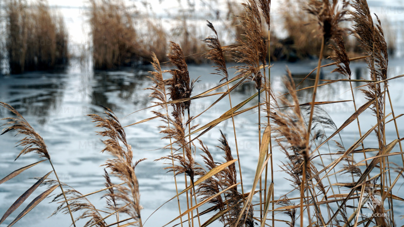 Сотрудники МЧС России напоминают об опасности осеннего льда