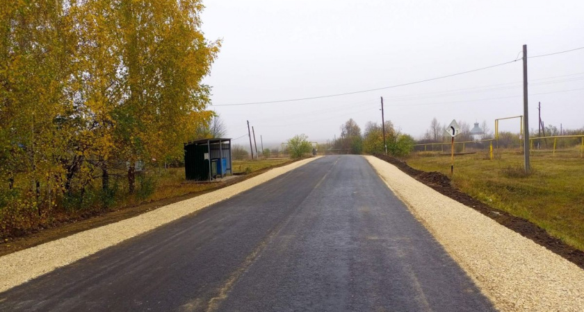 Благоустройство дорог Пензенской области проверил партийный десант