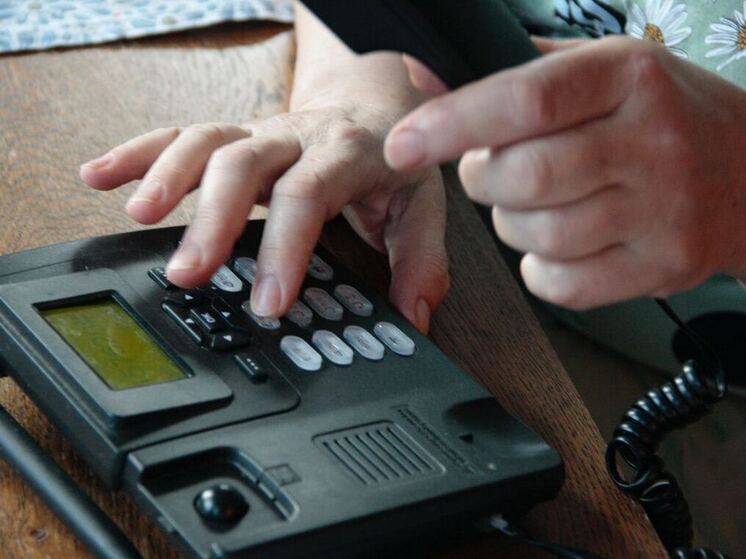 Фейковые налоговые инспекторы присвоили деньги петербуржцев себе