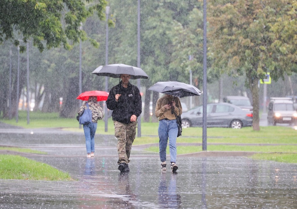 А будет ли ветер. Сильный ветер. А будет ли ветер. А будет ли ветер. Порывы ветра.