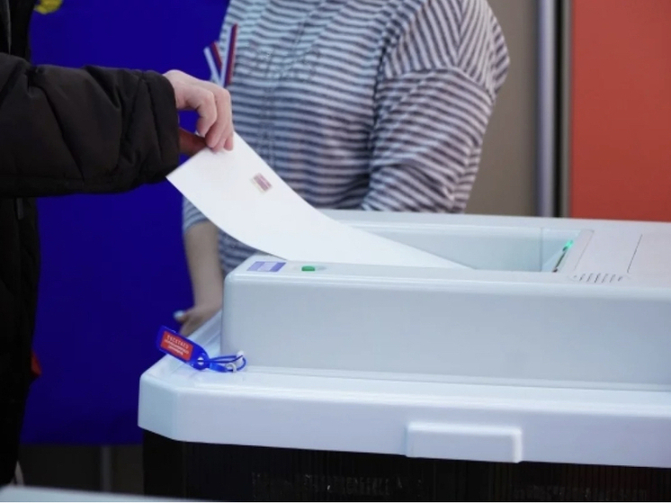 Эксперты из Новосибирска объяснили итоги выборов низкой явкой