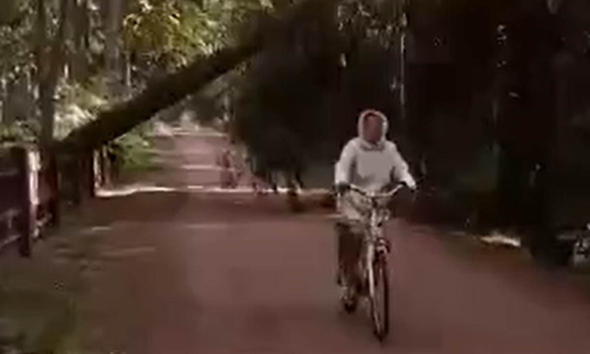 В Канаде велосипедист атакован медведем: удивительное видео
