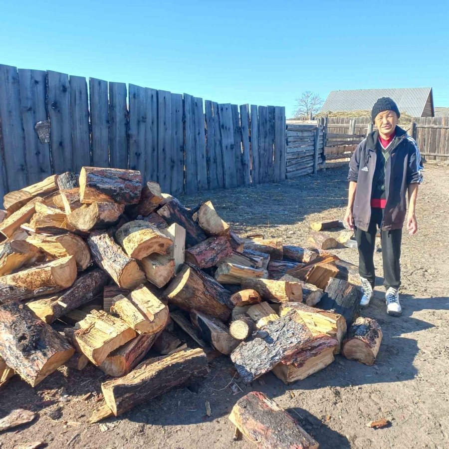 республика тыва лесное хозяйство. лесные питомники балгазынского лесничества республики тыва. лесничество тыва. лесничества республики тыва. лесничество тыва.