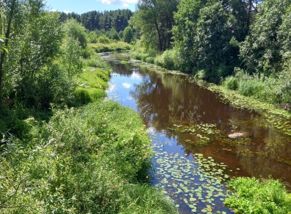 река орша тверская область