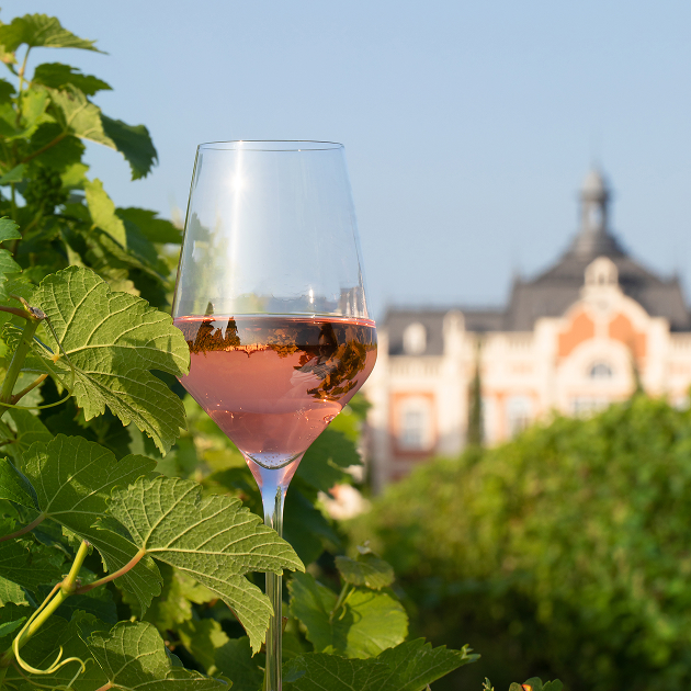 На летней террасе бара «Московский» отеля Four Seasons Hotel Moscow 26 июля в 14:00 состоится совместный обед с одной из главных виноделен Краснодарского края Château de Talu