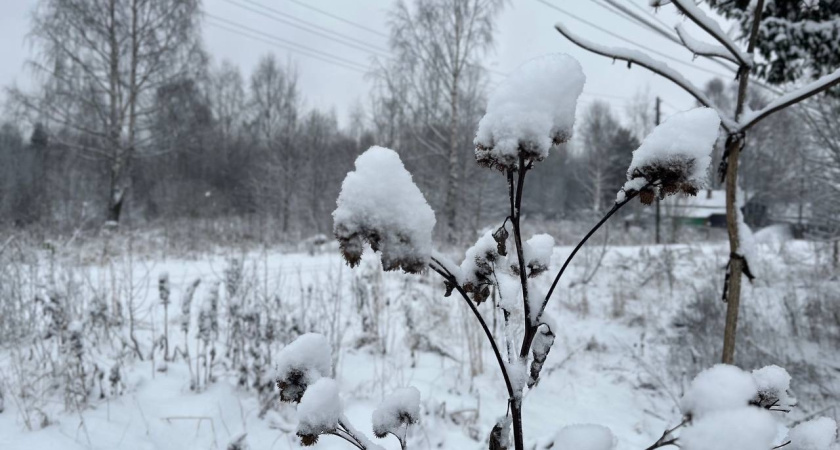 В Сыктывкаре снега выпало в полтора раза больше нормы