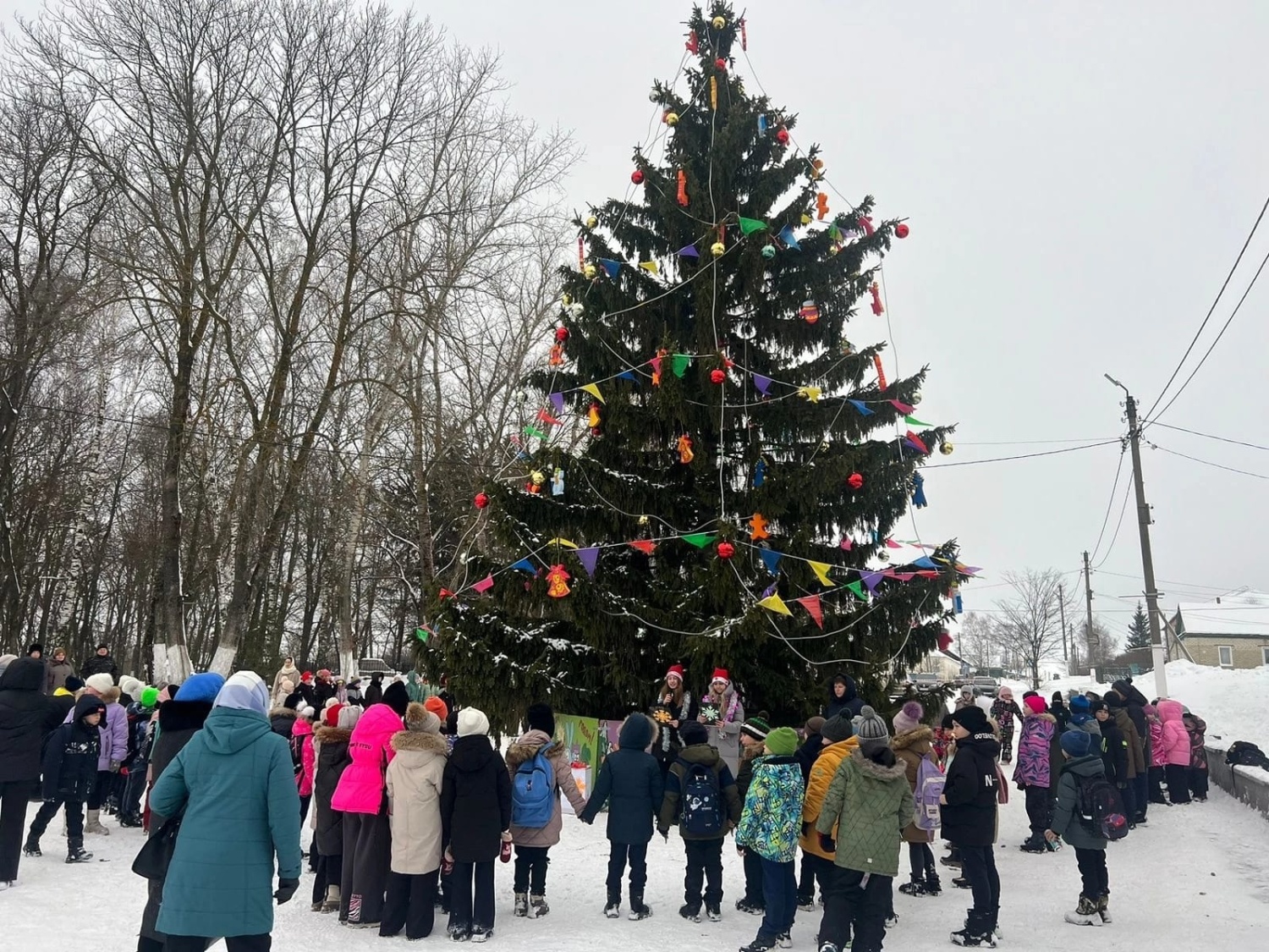 В Вадинском районе состоялось торжественное открытие главной новогодней ёлки