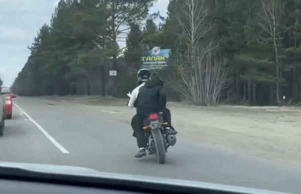В Иркутской области задерживают юных мотоциклистов
