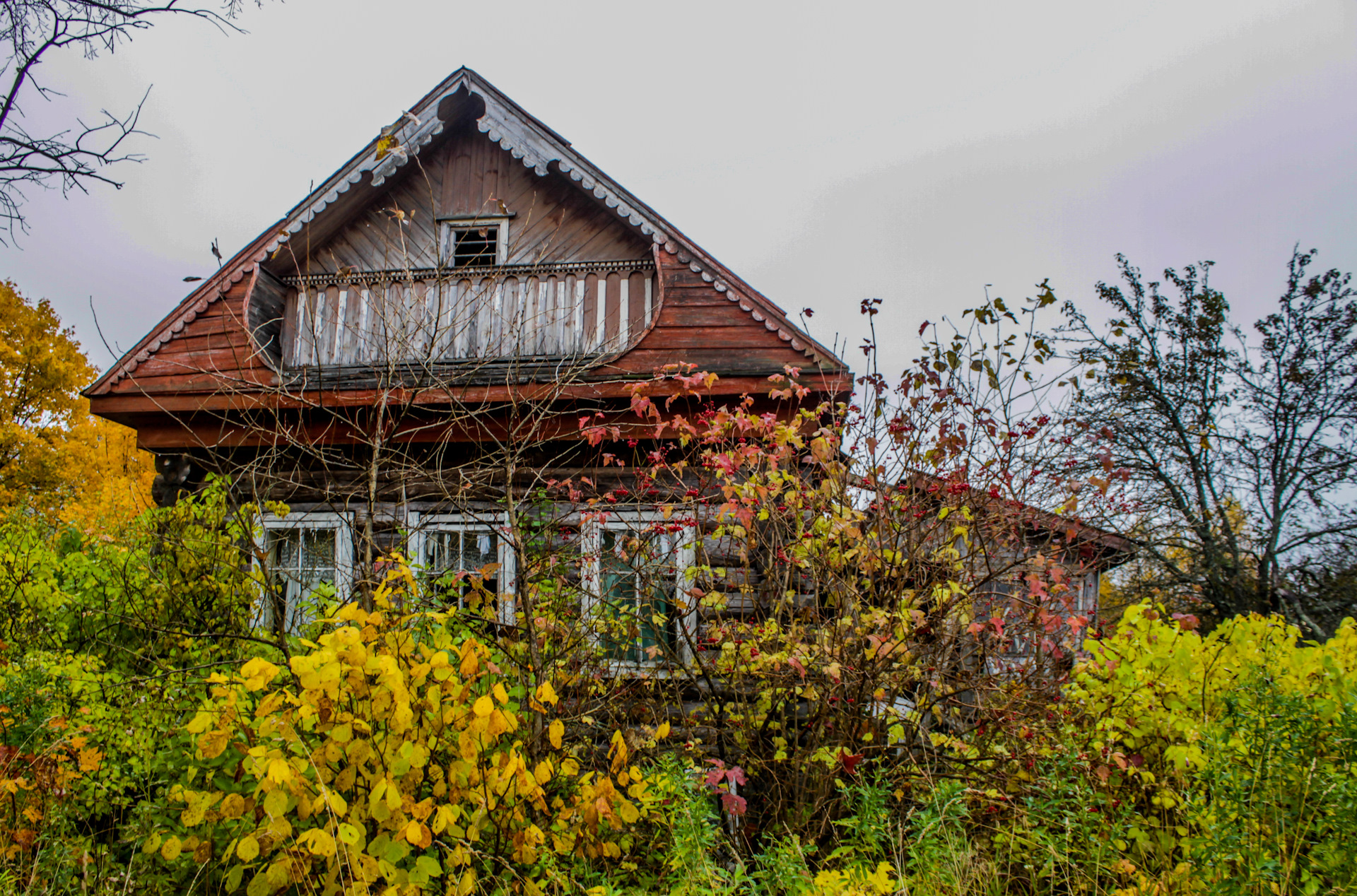 Без дома и без денег