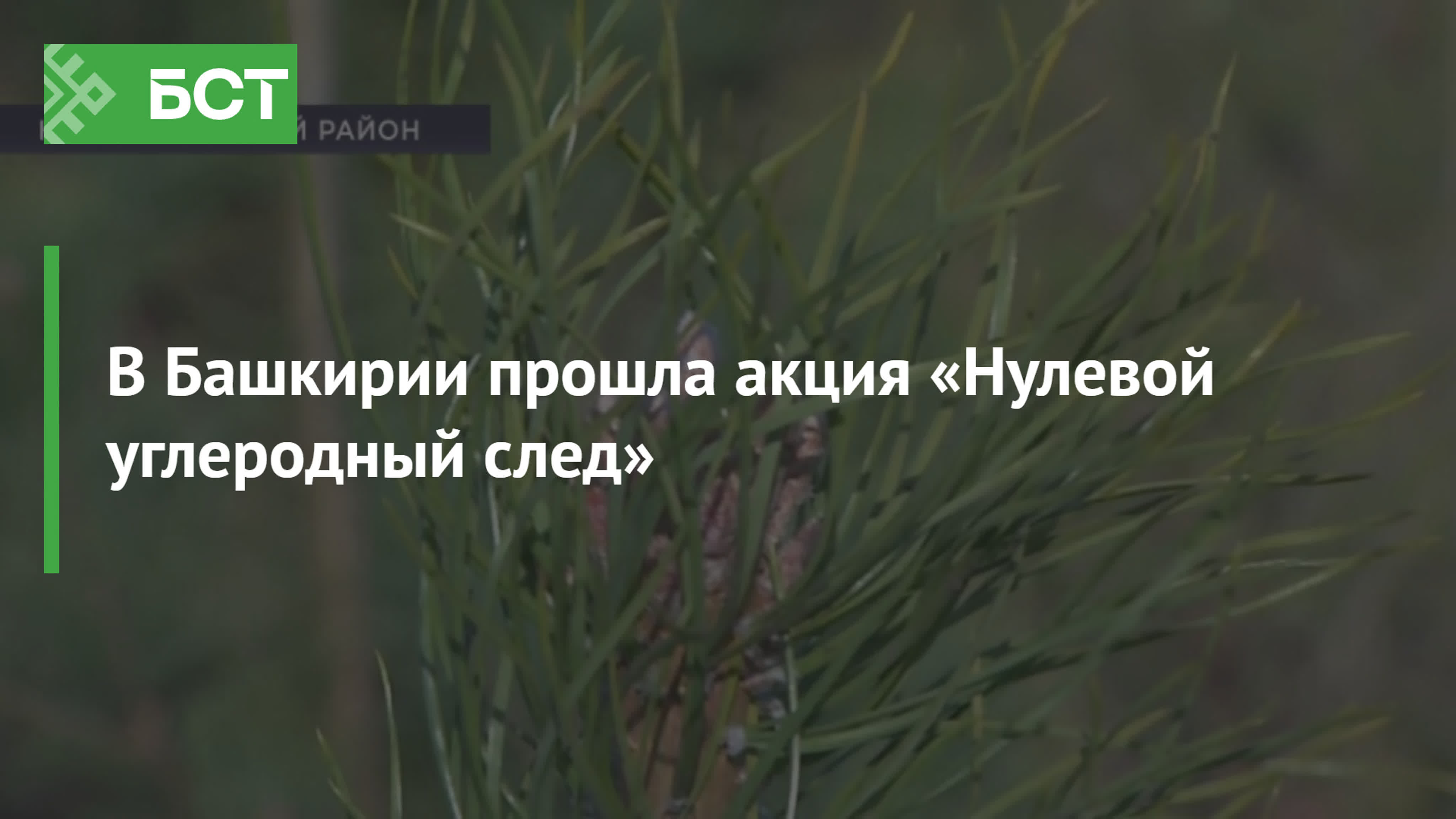 Электросуда обладают нулевым углеродным следом