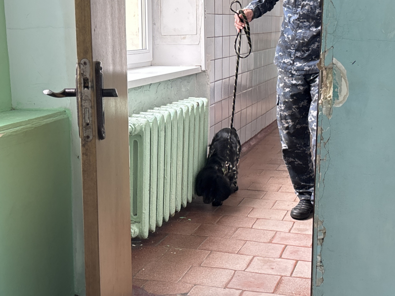 JPEG Файл