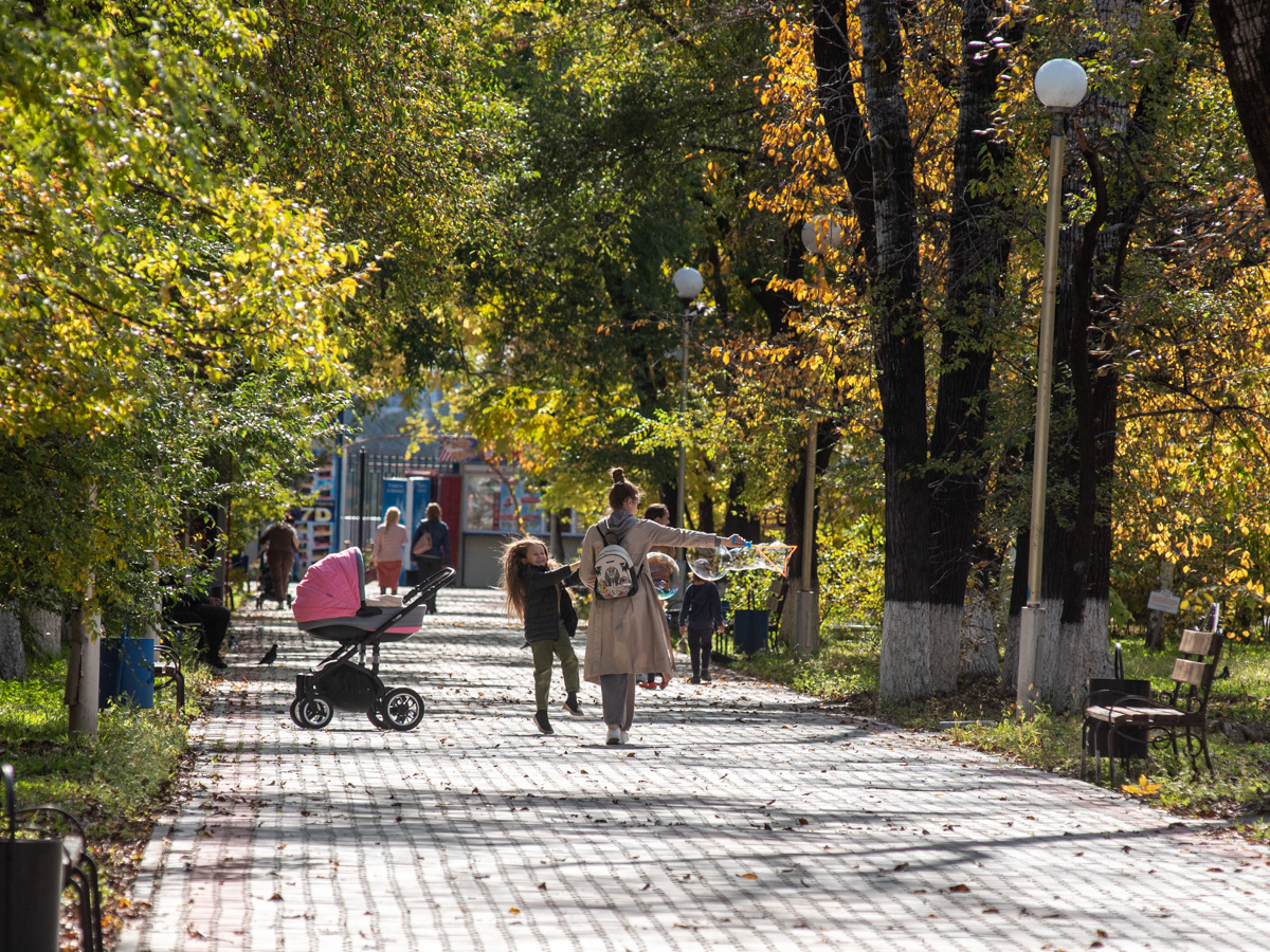 Скверы благовещенск. Горпарк Благовещенск. Городской парк Благовещенск Амурская. Белогорск Горпарк Амурская область.